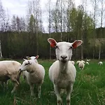 Suvituuli | Paajoen Vuokramoekit Himos