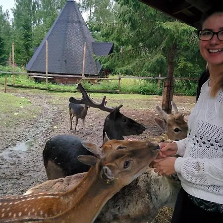 Domek alpejski Suvituuli | Paajoen Vuokramoekit *