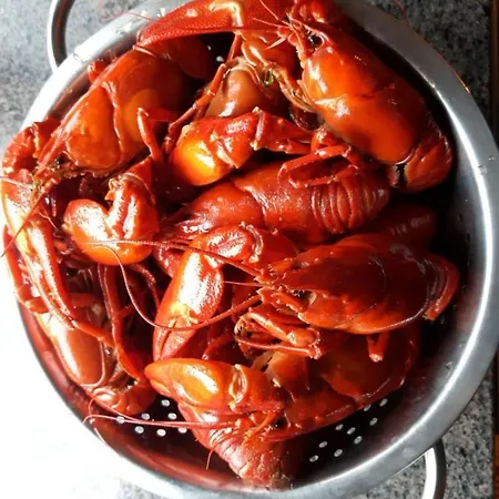 Suvituuli | Paajoen Vuokramoekit * Himos