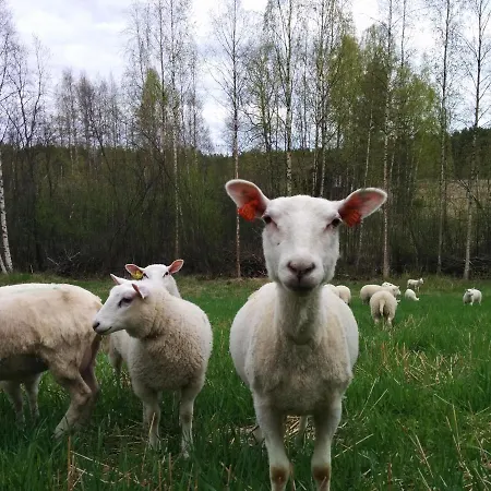 Suvituuli | Paajoen Vuokramoekit Himos