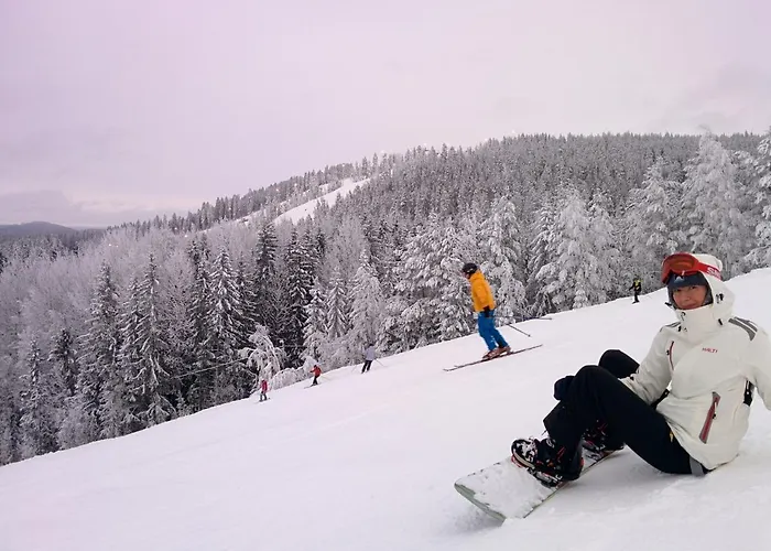 Suvituuli | Paajoen Vuokramoekit Himos