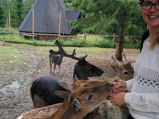 Chalet Suvituuli | Paajoen Vuokramoekit *