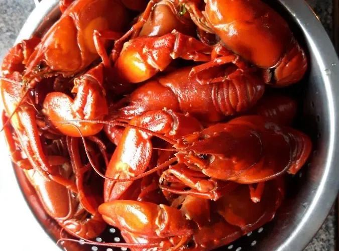 Suvituuli | Paajoen Vuokramoekit * Himos